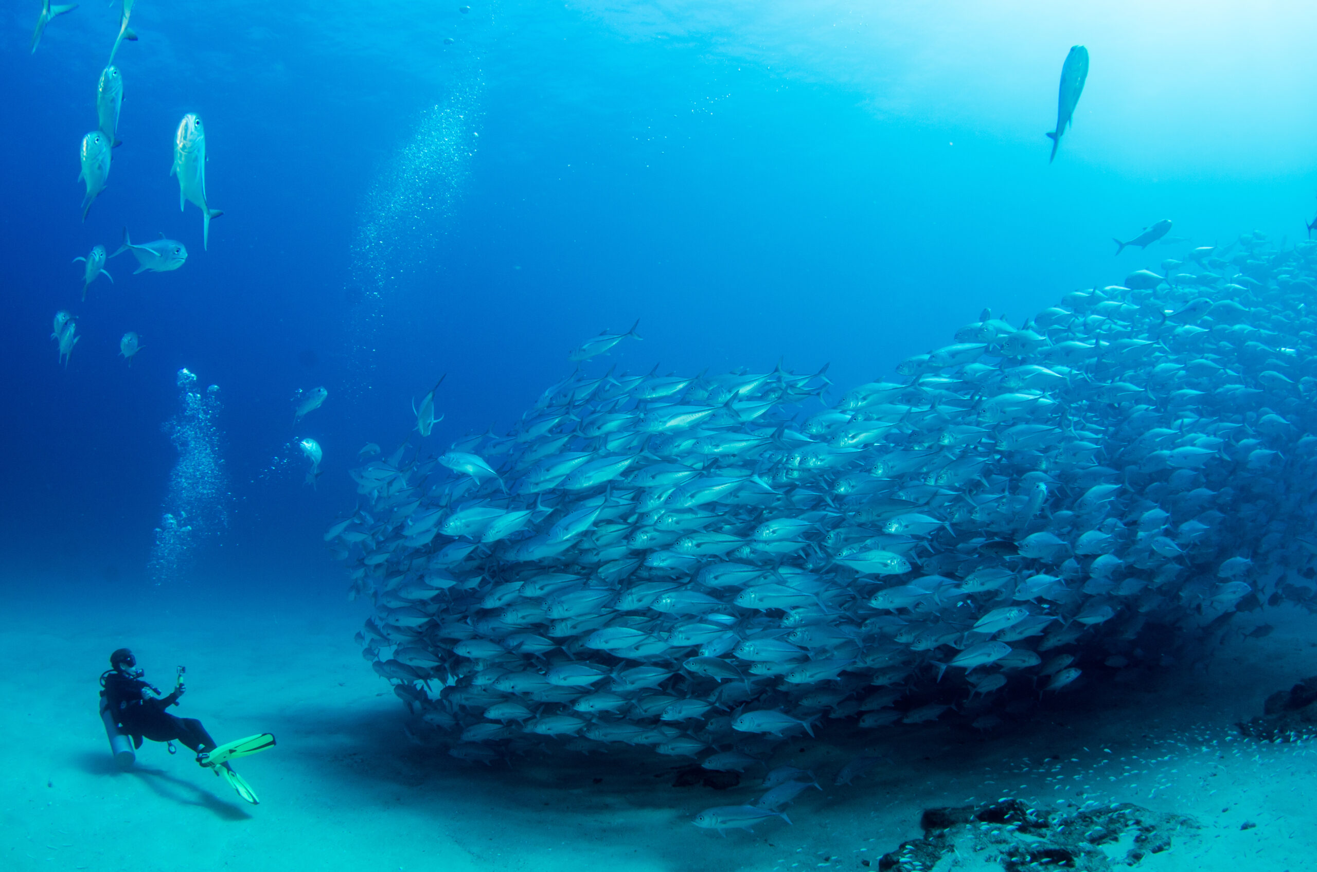 Scuba Cabo Pulmo