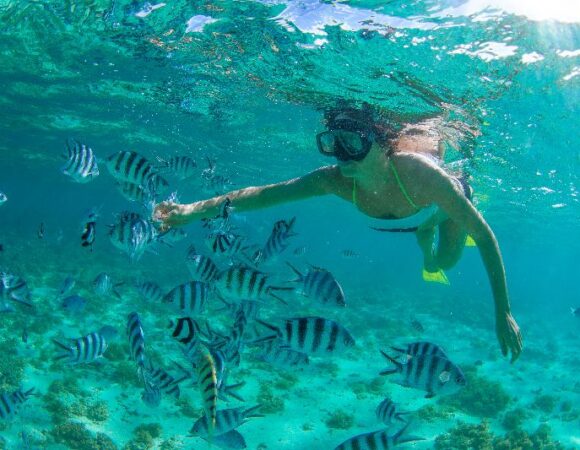 Cabo Pulmo Snorkel