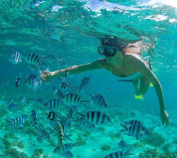 Cabo Pulmo Snorkel