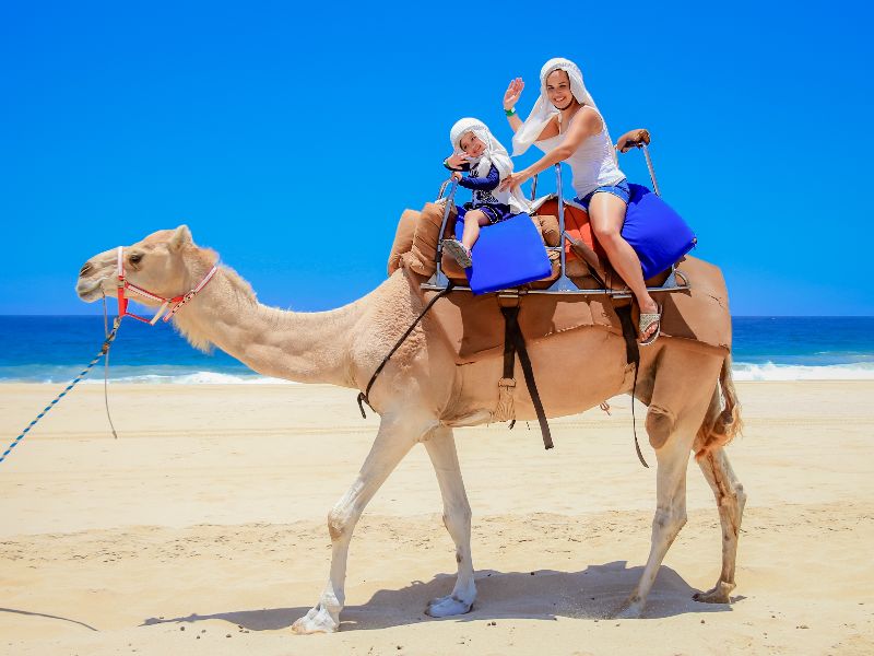 Camel Ride Safari