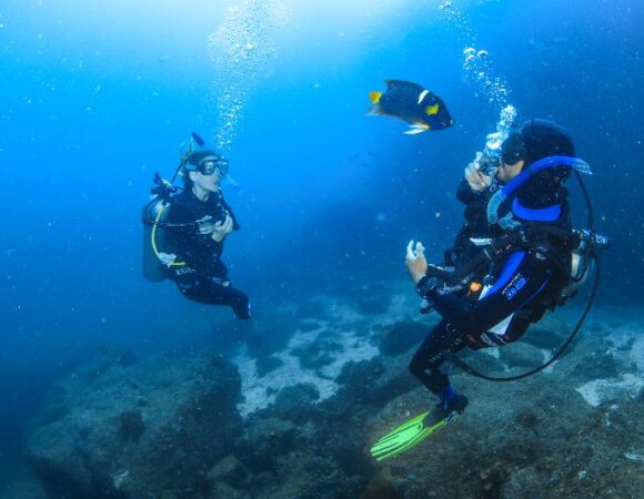 Scuba Diving