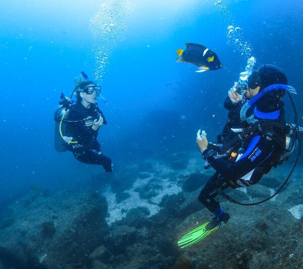 Scuba Diving