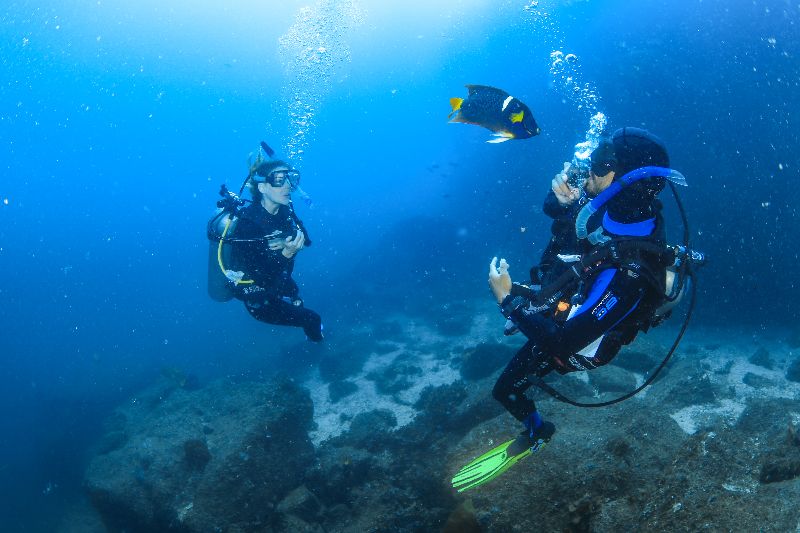 Scuba Diving